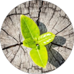 Profile photo of Audrey Armstrong