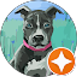 Profile photo of David Little