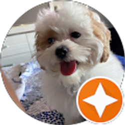 Profile photo of Erica Martin