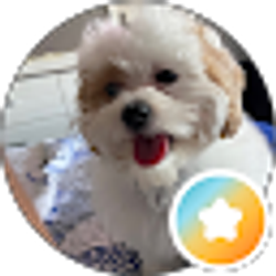 Profile photo of Erica Martin