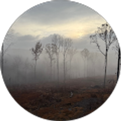 Profile photo of Lane Wyble