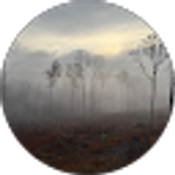 Profile photo of Lane Wyble