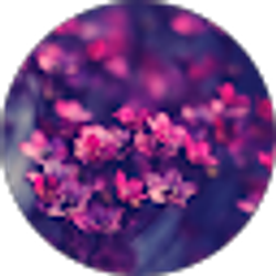 Profile photo of Maysa Salama