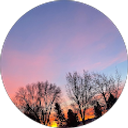 Profile photo of Jaycee Ferguson