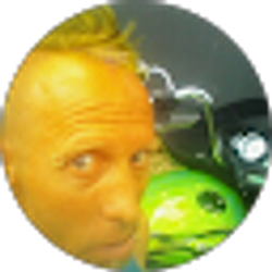 Profile photo of Scott Anderson