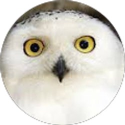 Profile photo of Susan Zipperle