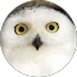 Profile photo of Susan Zipperle