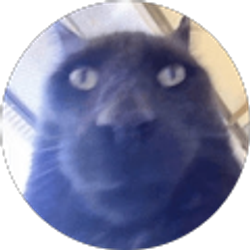 Profile photo of Stephen Cain