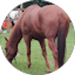 Profile photo of Teresa Wilkerson