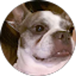 Profile photo of Suzi
