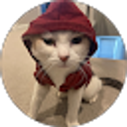 Profile photo of Amber Plasencia