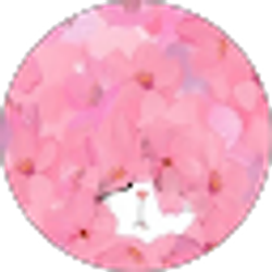 Profile photo of Lane Zhou