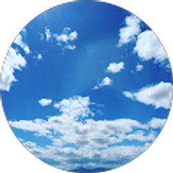 Profile photo of Cha X