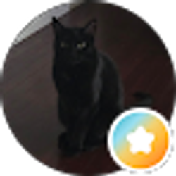 Profile photo of Bijanka