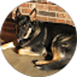 Profile photo of Cynthia Hall