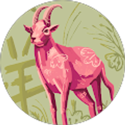 Profile photo of Barbara Yin