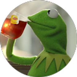 Profile photo of Austin Vo