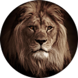 Profile photo of Quez