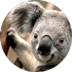 Profile photo of WILL E VAN