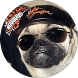 Profile photo of R Perry (OldCoot)