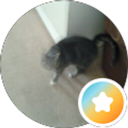 Profile photo of Nancy Livesay