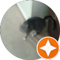 Profile photo of Nancy Livesay