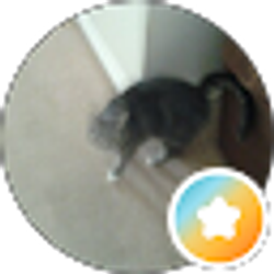 Profile photo of Nancy Livesay