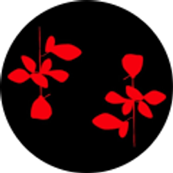 Profile photo of Aprille Anderson