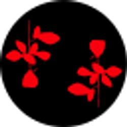 Profile photo of Aprille Anderson