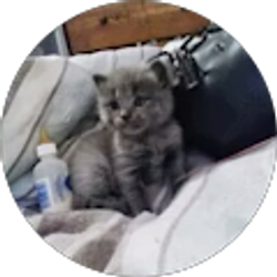 Profile photo of Charlene Badmone