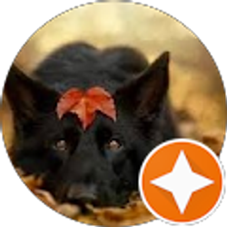 Profile photo of Nicole Rubino