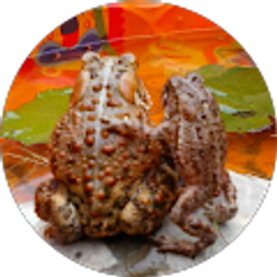 Profile photo of Ms. Ryder