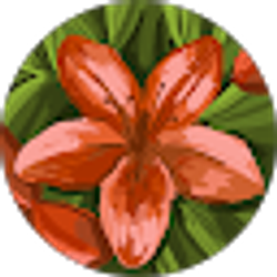 Profile photo of bianny castro