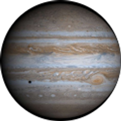 Profile photo of Wess Herring