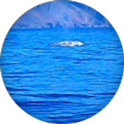 Profile photo of Theresa Streight