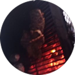 Profile photo of Phill Mg