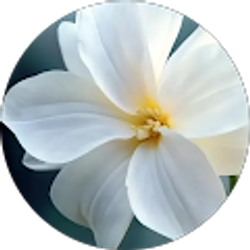 Profile photo of Juanita W