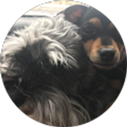 Profile photo of missy spinazola