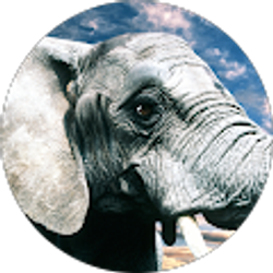 Profile photo of Lizbet Hernandez