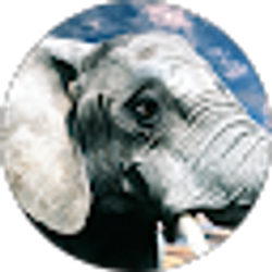 Profile photo of Lizbet Hernandez