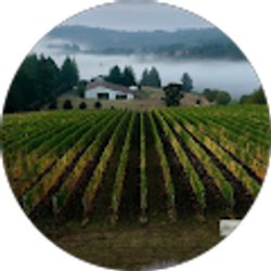 Profile photo of Theory Vineyard