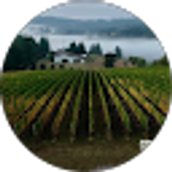 Profile photo of Theory Vineyard