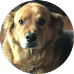 Profile photo of Keith Binney