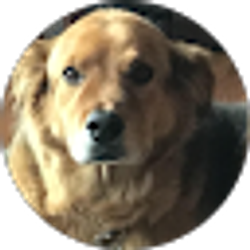 Profile photo of Keith Binney