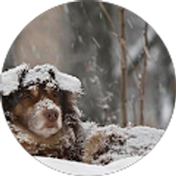 Profile photo of Ron D