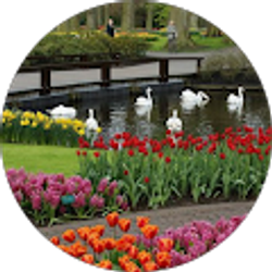 Profile photo of Margaret Mukundi