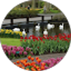 Profile photo of Margaret Mukundi