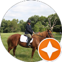 Profile photo of Mark n Sandy B