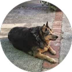 Profile photo of Denise Burkinshaw