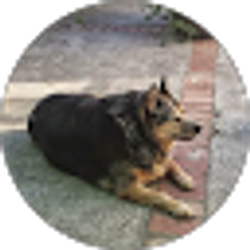 Profile photo of Denise Burkinshaw